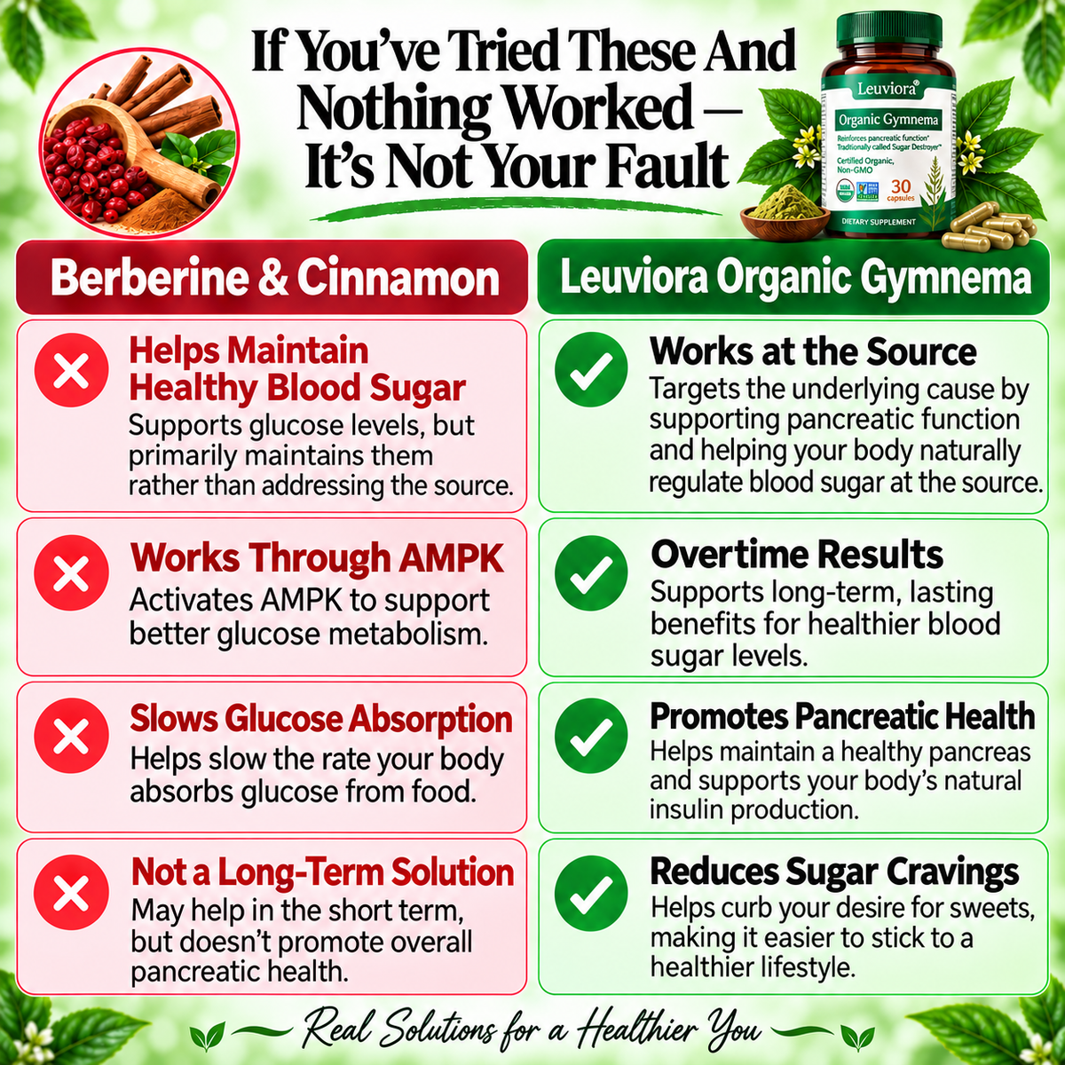 Gymnema Sylvestre — Extensively Studied For its Remarkable Research in Pancreatic Function and Beta Cell Support