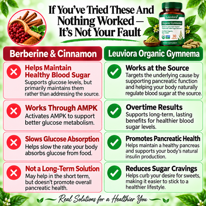 Gymnema Sylvestre — Extensively Studied For its Remarkable Research in Pancreatic Function and Beta Cell Support