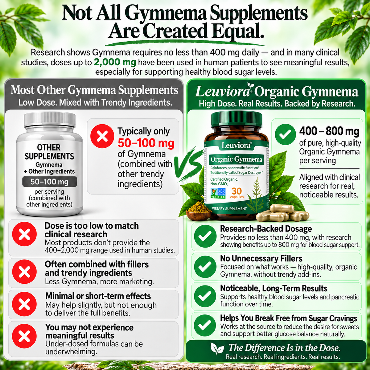 Gymnema Sylvestre — Extensively Studied For its Remarkable Research in Pancreatic Function and Beta Cell Support