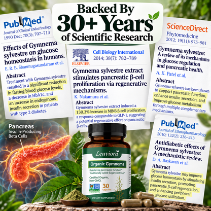 Gymnema Sylvestre — Extensively Studied For its Remarkable Research in Pancreatic Function and Beta Cell Support