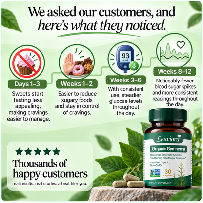 Gymnema Sylvestre — Extensively Studied For its Remarkable Research in Pancreatic Function and Beta Cell Support